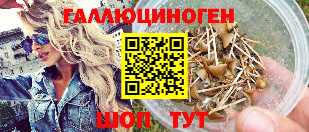 Псилоцибиновые грибы GOLDEN TEACHER  Псилоцибиновые грибы GOLDEN TEACHER  Вход с VPN  Владивосток 
