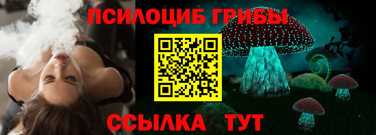 Галлюциногенные грибы мухоморы Владивосток